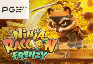 Ninja Raccoon Frenzy